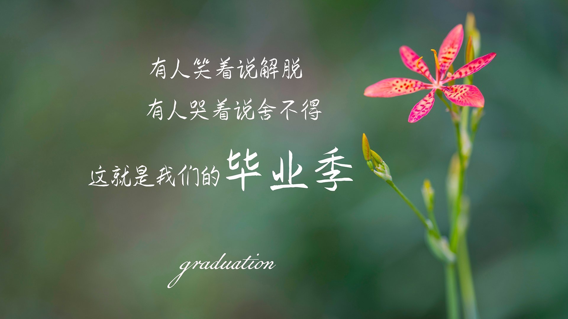 独舞与狂想曲，梅西的巨星时刻与塞内加尔的逆转哲学